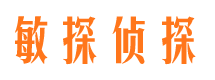 永仁市私家侦探